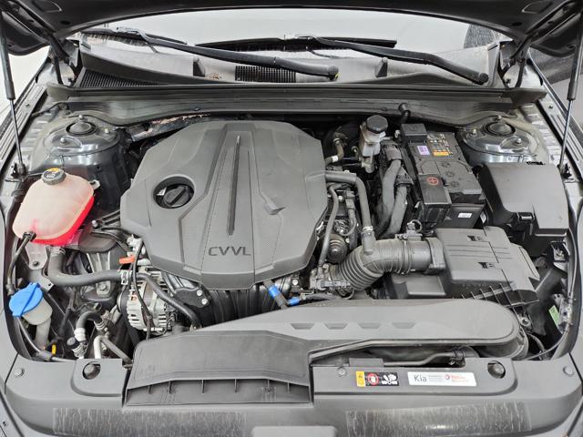 lotterental_15583567_8P2ub_2.jpg