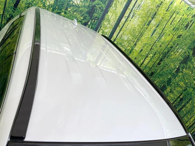 20923267_carP_l_10.jpg