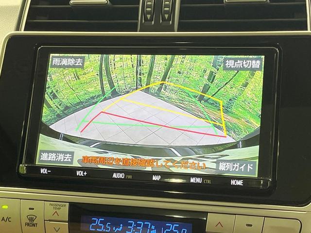 20280529_carP_l_10.jpg