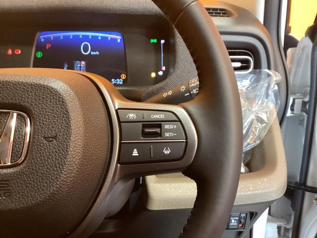 22693921_carP_l_5.jpg