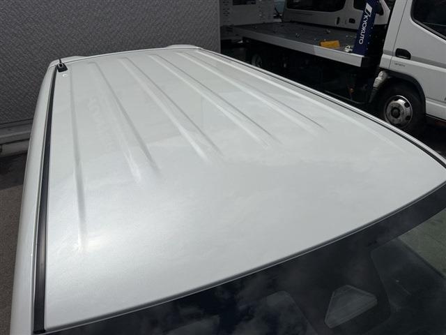 23130939_carP_l_6.jpg
