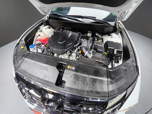 f595ff5203d052767c00c947298ab534.jpeg