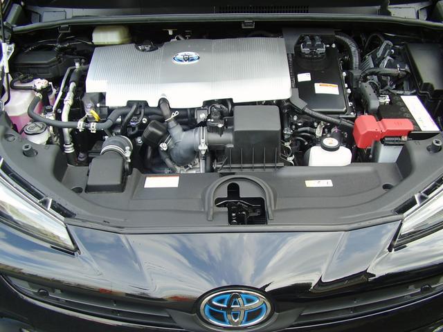 0803756A30250908W00202.jpg