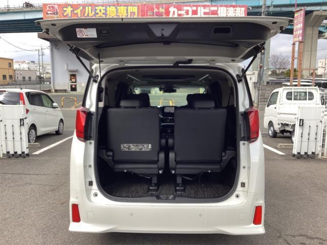 22910128_carP_l_9.jpg