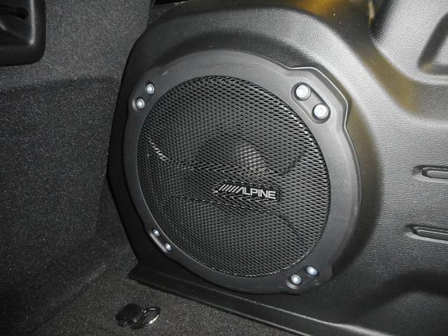 23014763_carP_l_6.jpg