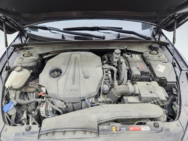 lotterental_160822902_W7mXX_2.jpg
