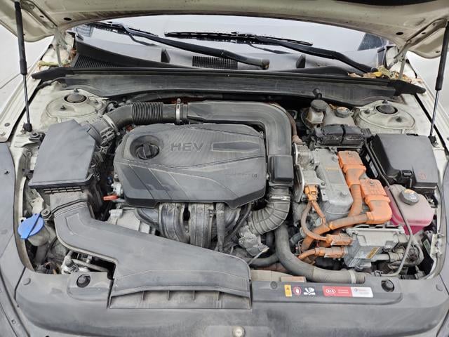 lotterental_161009667_pu1jR_3.jpg