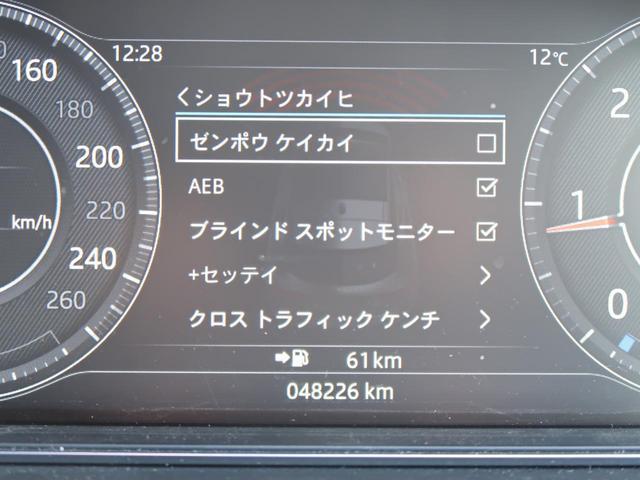 21361312_carP_l_19.jpg