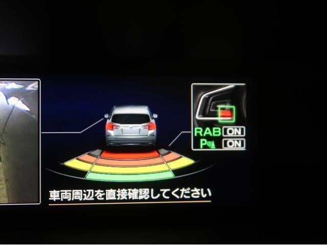 18269092_carP_l_2.jpg