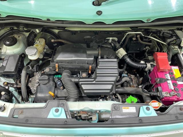 22354399_carP_l_16.jpg