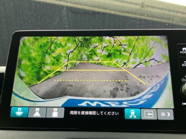 21136889_carP_l_6.jpg