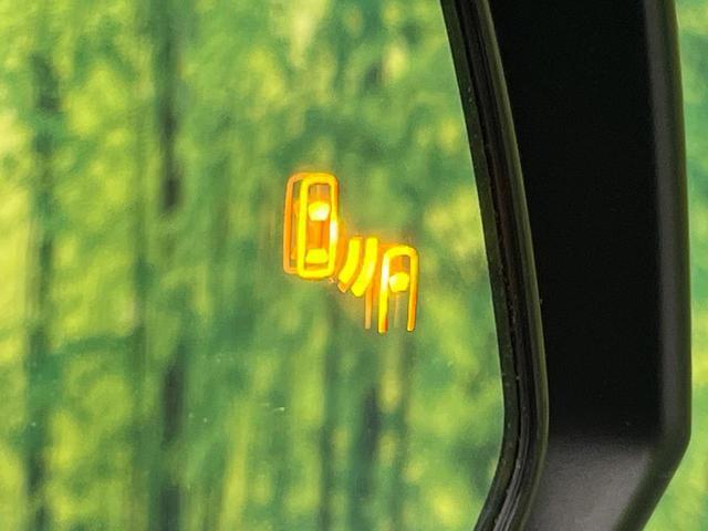22544385_carP_l_13.jpg