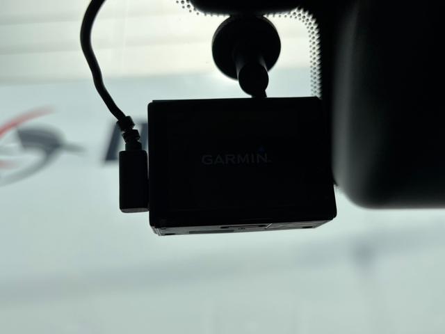 22003162_carP_l_6.jpg