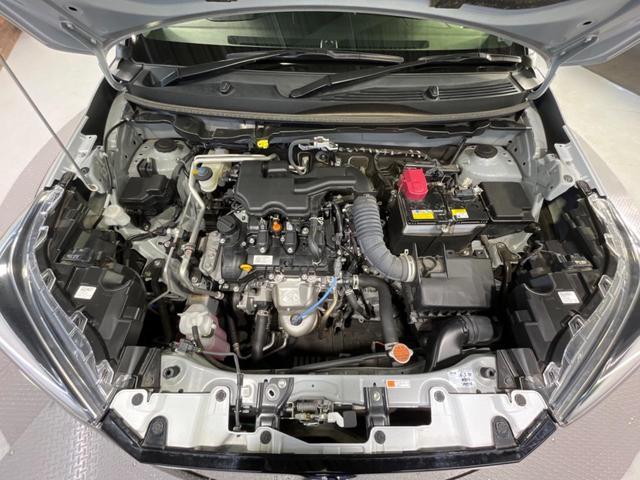 22004236_carP_l_20.jpg