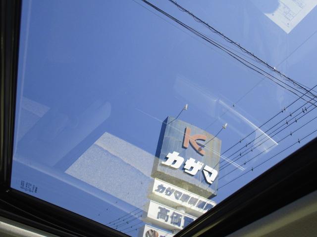 13409145_carP_l_18.jpg