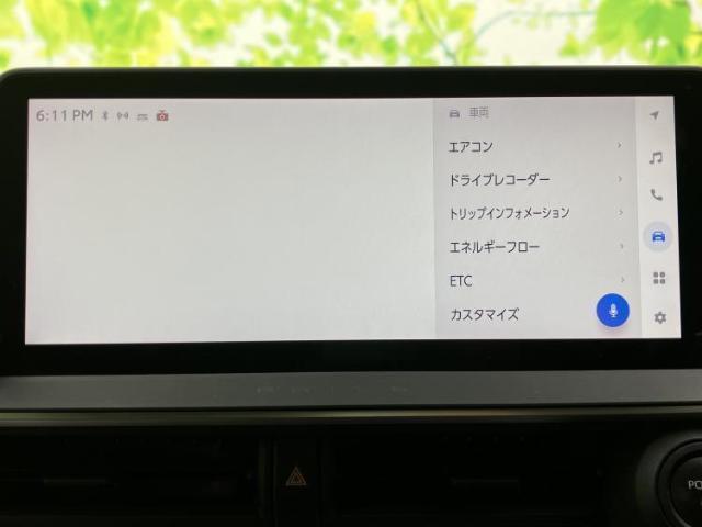 22525749_carP_l_19.jpg