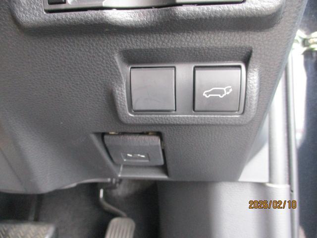 0802982A30260210W00316.jpg