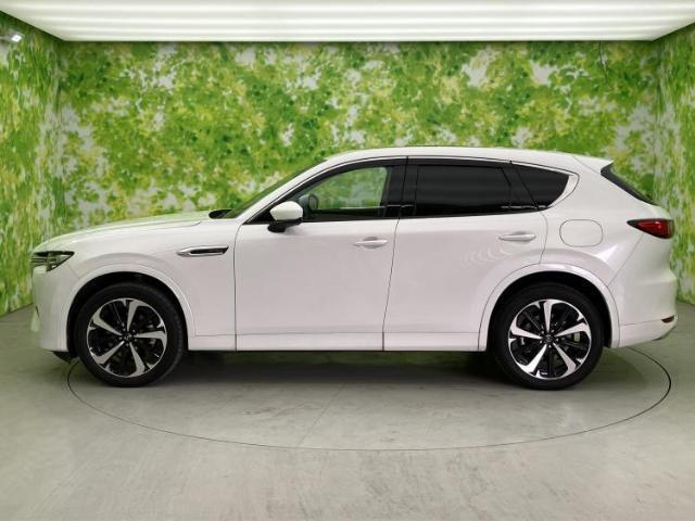 21941055_carP_l_3.jpg