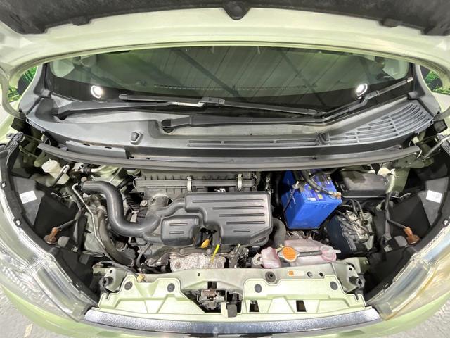 21854453_carP_l_16.jpg