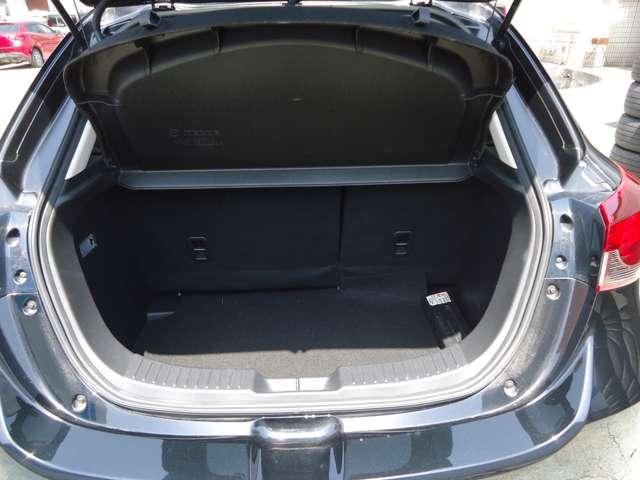 21872250_carP_l_13.jpg
