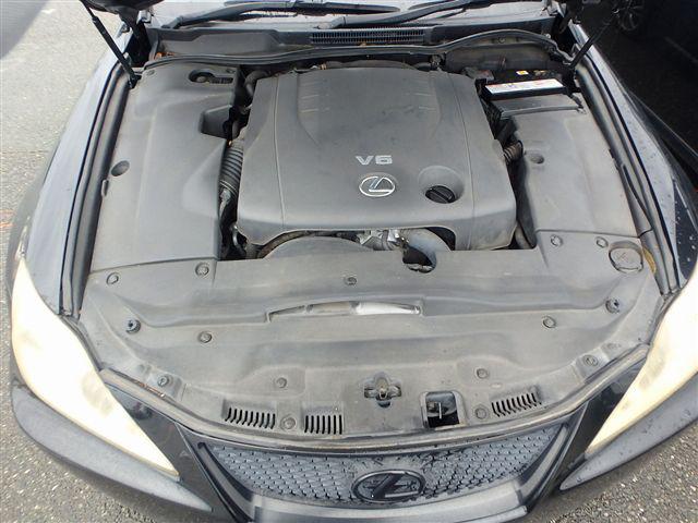 08.jpg