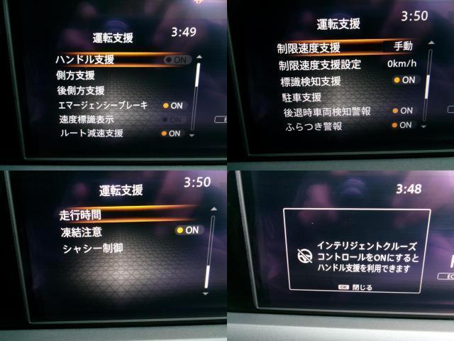 23173901_carP_l_8.jpg