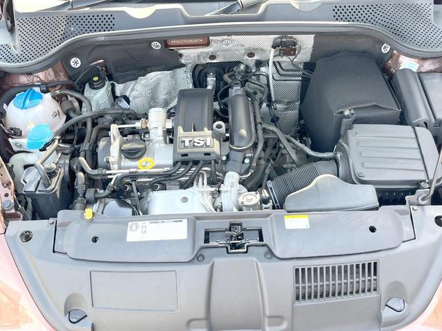 22505353_carP_l_20.jpg