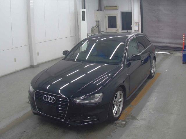 23094819_carP_l_1.jpg