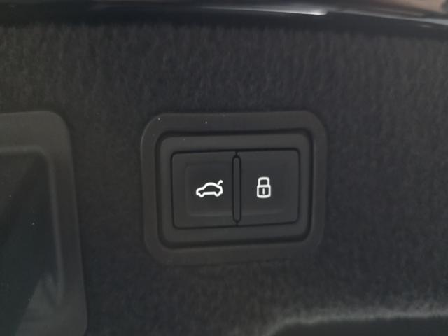 305597a84203859d573338ced4d505b3.jpeg
