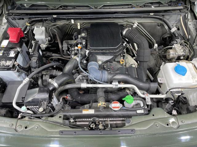 21620337_carP_l_16.jpg