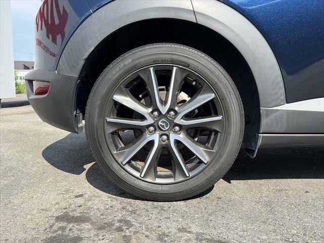 d20961da150699c01ef8786ca0363cae.jpg