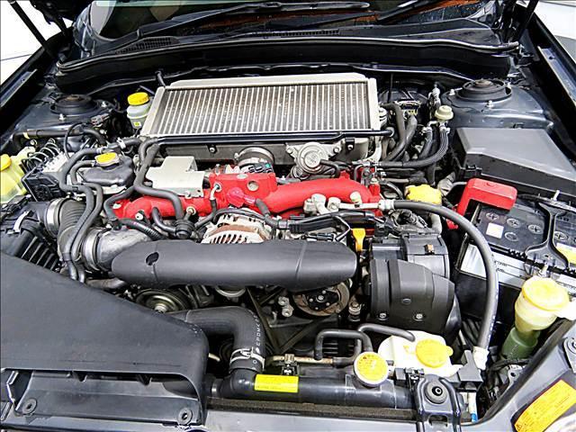 21377738_carP_l_20.jpg