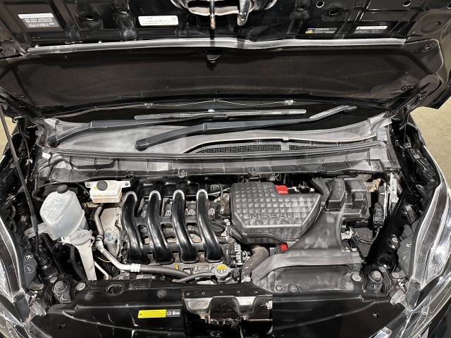 17198861_carP_l_17.jpg