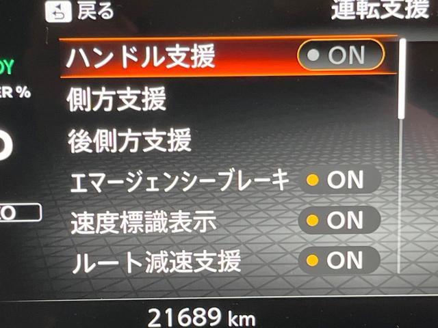 22600242_carP_l_13.jpg