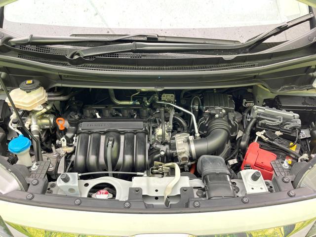 21324682_carP_l_16.jpg