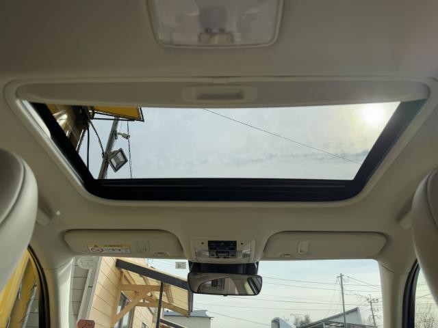 16229544_carP_l_5.jpg