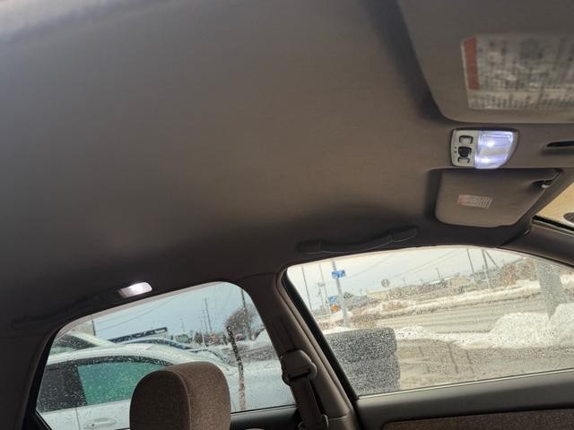 0301946A30260210W00215.jpg