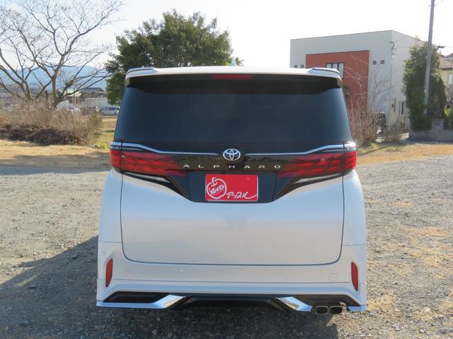 0610025A30260128W00209.jpg