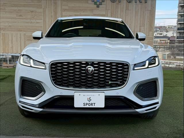 22034198_carP_l_7.jpg