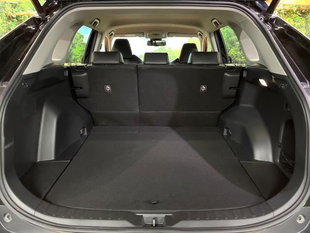 21764401_carP_l_6.jpg