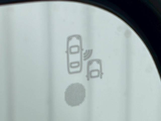 22613469_carP_l_19.jpg