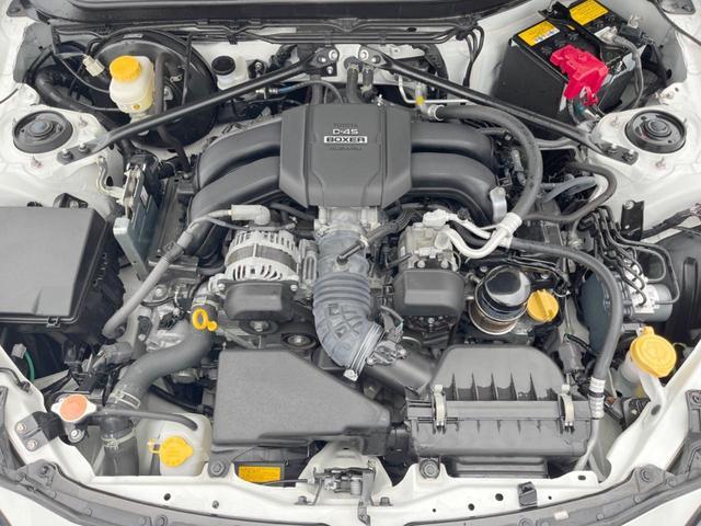 22600062_carP_l_16.jpg