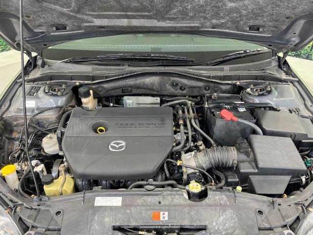 21672184_carP_l_16.jpg