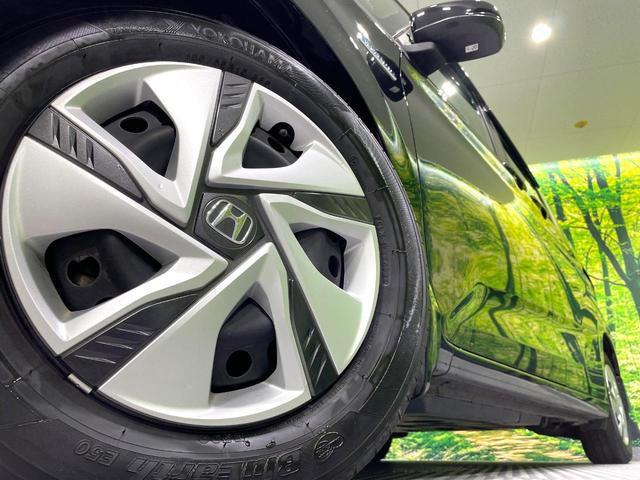 20626216_carP_l_7.jpg