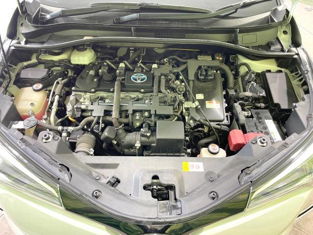 22411868_carP_l_16.jpg