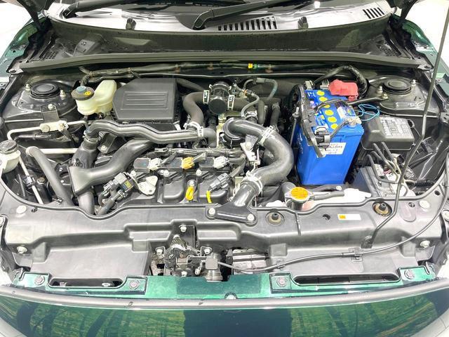 22975560_carP_l_11.jpg