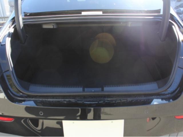 21254254_carP_l_6.jpg