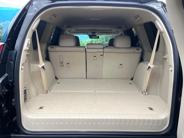 21343436_carP_l_2.jpg
