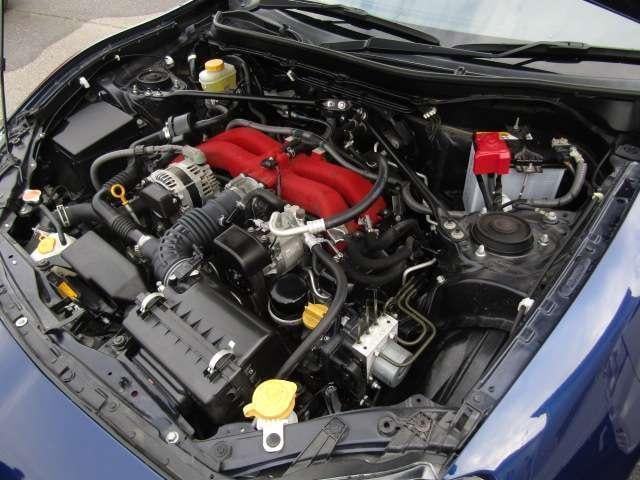 21272955_carP_l_11.jpg