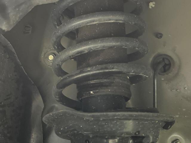 20572867_carP_l_20.jpg